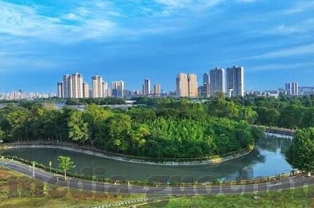 麻豆app下载入口免费-麻豆，邂逅无限可能的数字生活