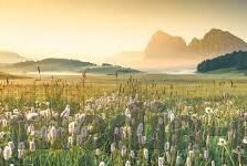 麻豆吴梦梦视频-麻豆吴梦梦视频解析，背后的文化现象与审慎观点