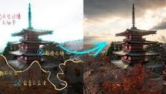糖心app免费版直播-探索多元娱乐的新视角，糖心app免费版直播体验